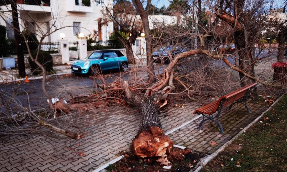 Νέο έκτακτο δελτίο από την ΕΜΥ: Στο κόκκινο 7 περιοχές - Οι θυελλώδεις άνεμοι σάρωσαν Αττική, Θεσσαλονίκη, Ηλεία